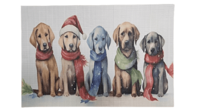 INDIVIDUAL NAVIDAD