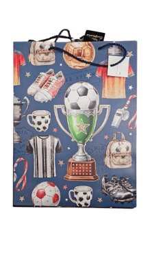 BOLSA DE REGALO FUTBOL CAMPEONES1