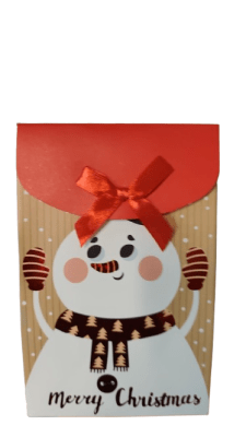 BOLSA REGALO 20*12.7*7.6 CM