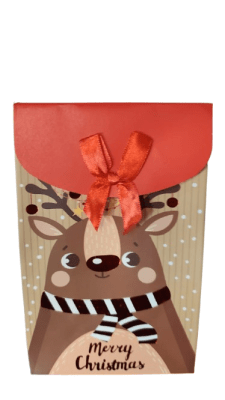 BOLSA REGALO 20*12.7*7.6 CM