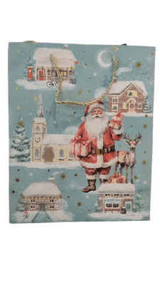 BOLSA REGALO (099)