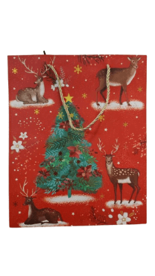 BOLSA REGALO (099)