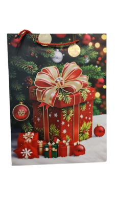 BOLSA REGALO (773)