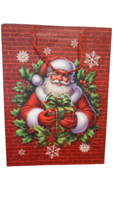 BOLSA REGALO (456)