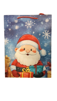 BOLSA REGALO (220)