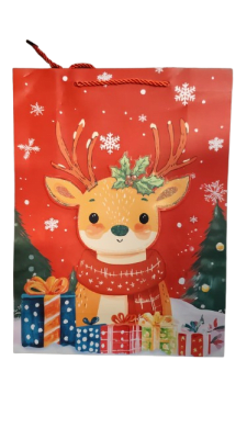 BOLSA REGALO (220)