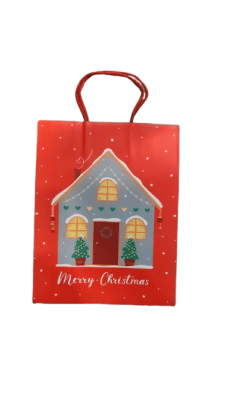 BOLSA REGALO (320)