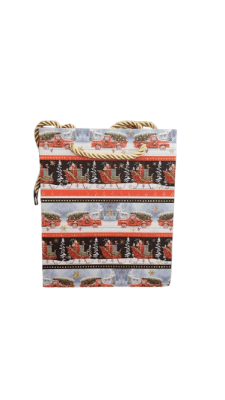 BOLSA REGALO (521)3