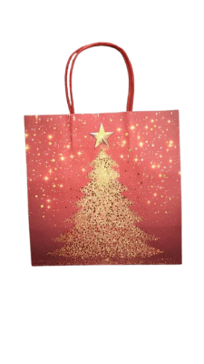 BOLSA REGALO (217)1