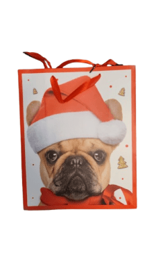 BOLSA REGALO (710) M1