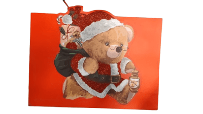 BOLSA REGALO (884) L1