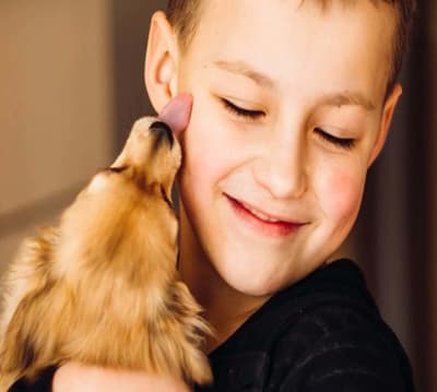 Beneficios de las mascotas para los niños