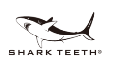 Shark Teeth
