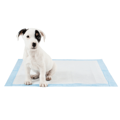 Pack de 40 Sabanillas 60 x 60 para Perros - Paws & CO