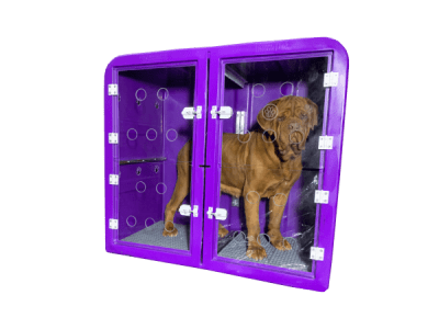 Canil Grande Kennel JET - OMEGAPET1