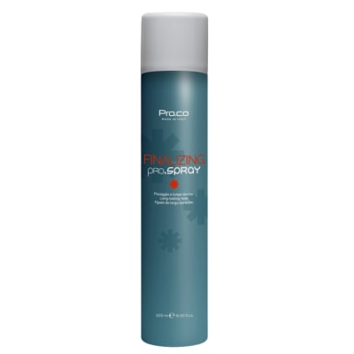 Finalizing Pro.Spray 500ml