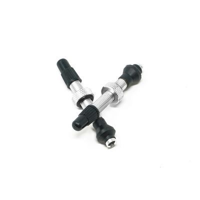 SET VALVULA TUBULAR 40MM BRASS SILVER (2u) SET VALVULA TUBULAR 40MM BRASS SILVER (2u)