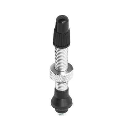 SET VALVULA TUBULAR 40MM BRASS SILVER (2u) SET VALVULA TUBULAR 40MM BRASS SILVER (2u)