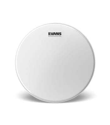 PARCHE DE CAJA 14 EVANS UV2