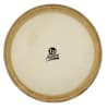 PARCHE CONGA REPL.HEAD  11  RAWHIDE LPA640B LP 0