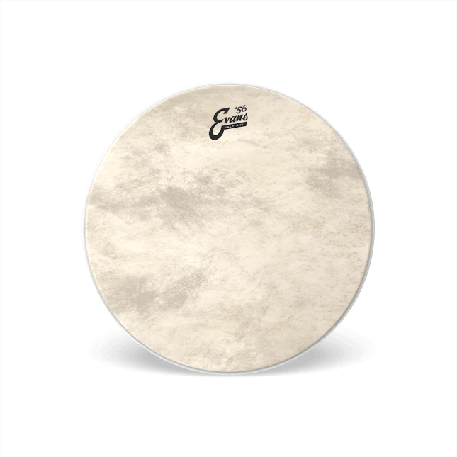 PARCHE BOMBO EVANS EQ4 CALFTONE 24 1