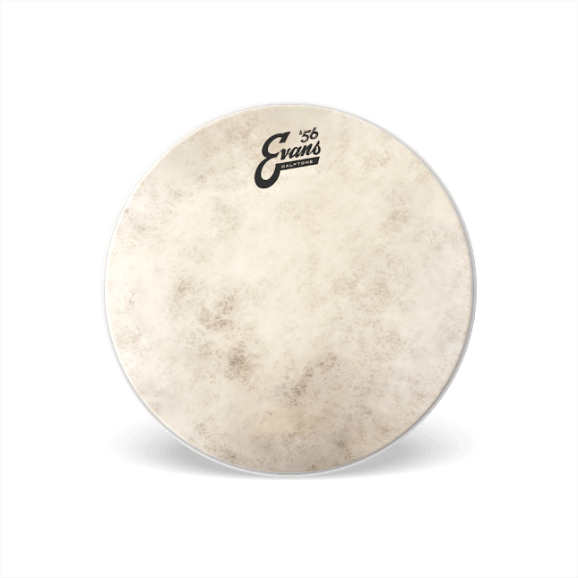 PARCHE BOMBO EVANS CALFTONE 26 1