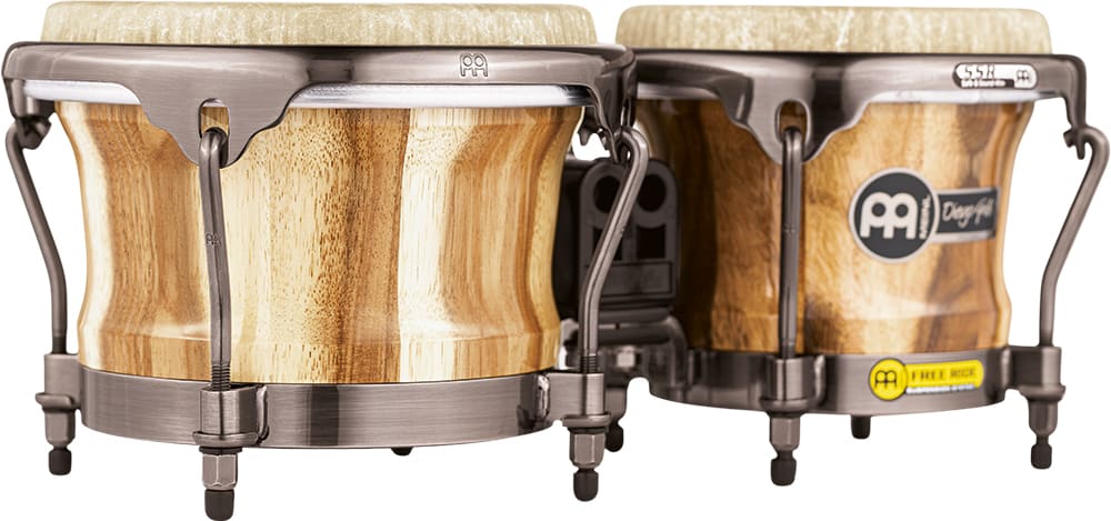 BONGO DIEGO GALE CHAMCHURI WOOD  REMO FIBERSKYN HEADS ARTIST SERIES WOOD DGR400CW MEINL PERCUSSION5
