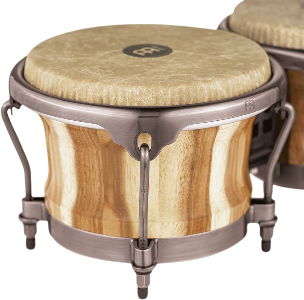 BONGO DIEGO GALE CHAMCHURI WOOD  REMO FIBERSKYN HEADS ARTIST SERIES WOOD DGR400CW MEINL PERCUSSION6