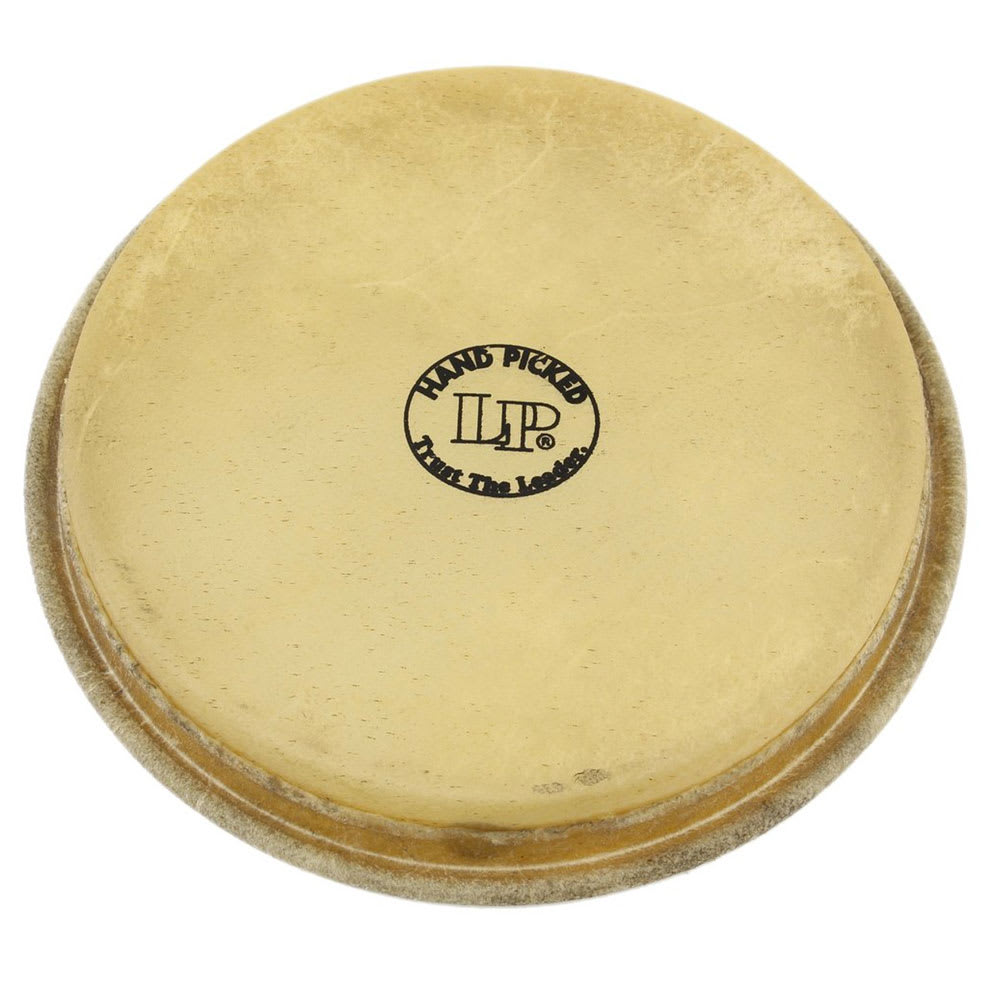 PARCHE LARGE HEAD FOR 1964 BONGOS LP264F LP 1