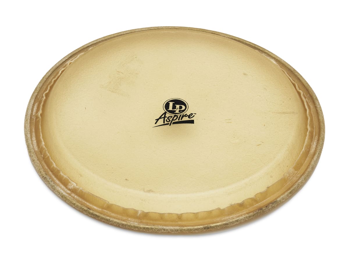 PARCHE CONGA REPL.HEAD  11  RAWHIDE LPA640B LP2
