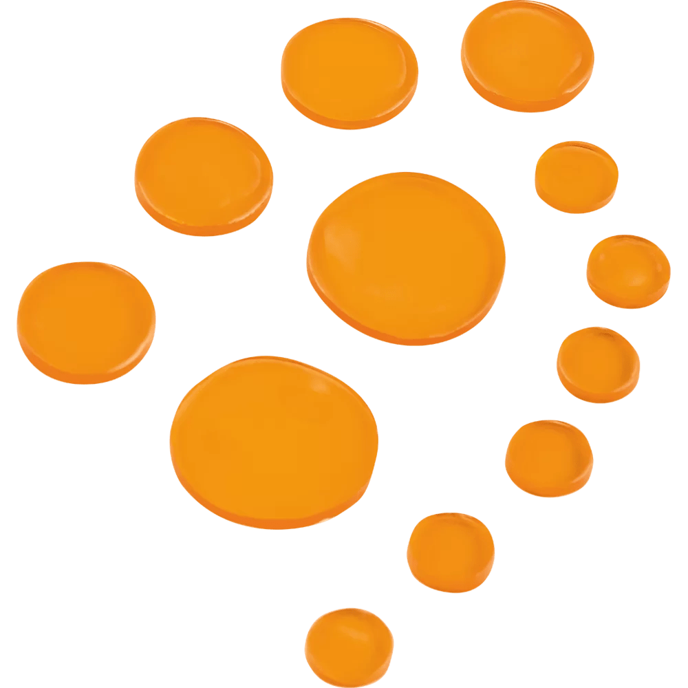 MEINL DRUM HONEY ASSORTMENT4