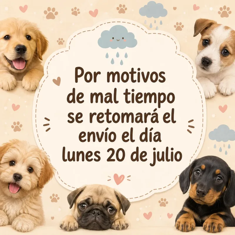 Farmacia Veterinaria My Pets Oquiz