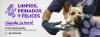 my pets banner 2 julio8903