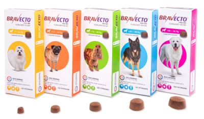 Bravecto Canino