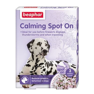 Calming spot on canino