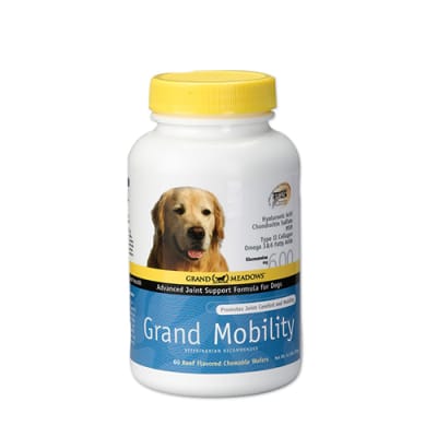 Grand Mobility
