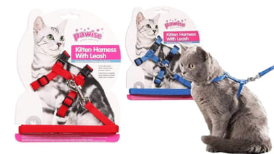 Pawise kitten harnes with leash1
