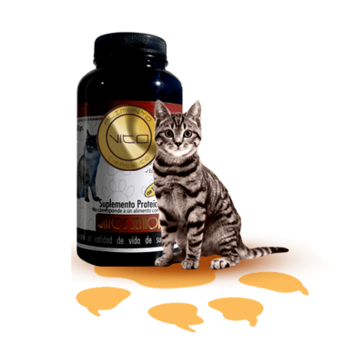 Vito Senior Gato 100 gr1