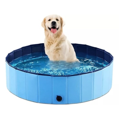 Pawise Piscina Mascotas
