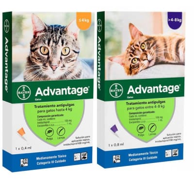 Advantage felino1