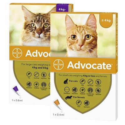 Advocate felino