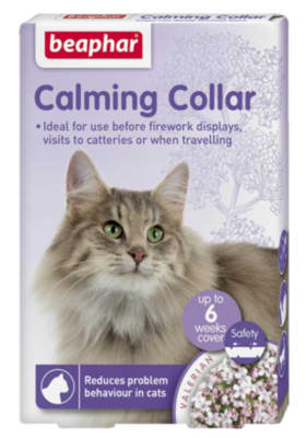Calming Collar Gato1