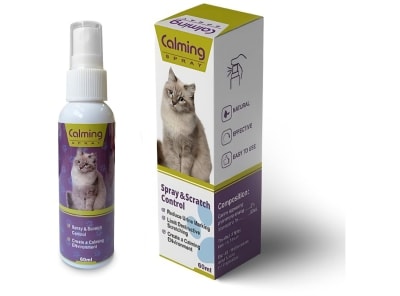 Marben pets calming kitten