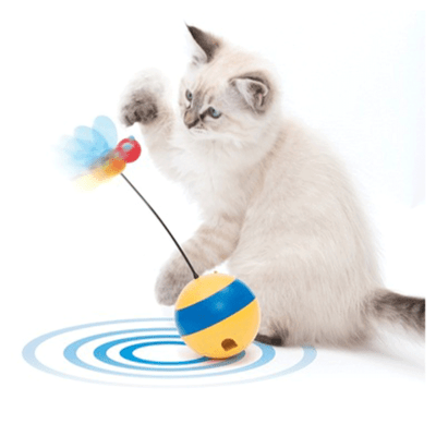 Cat it spinning bee1