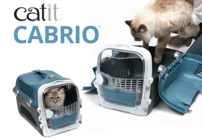 Cat it cabrio