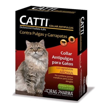 collar catti