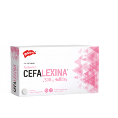 Cefalexina 500 mg