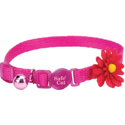 Coastal  collar gato flower1