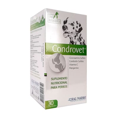 Condrovet1