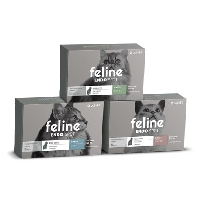 Feline Endo labyes1